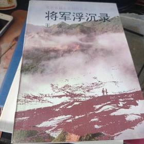 将军浮沉录