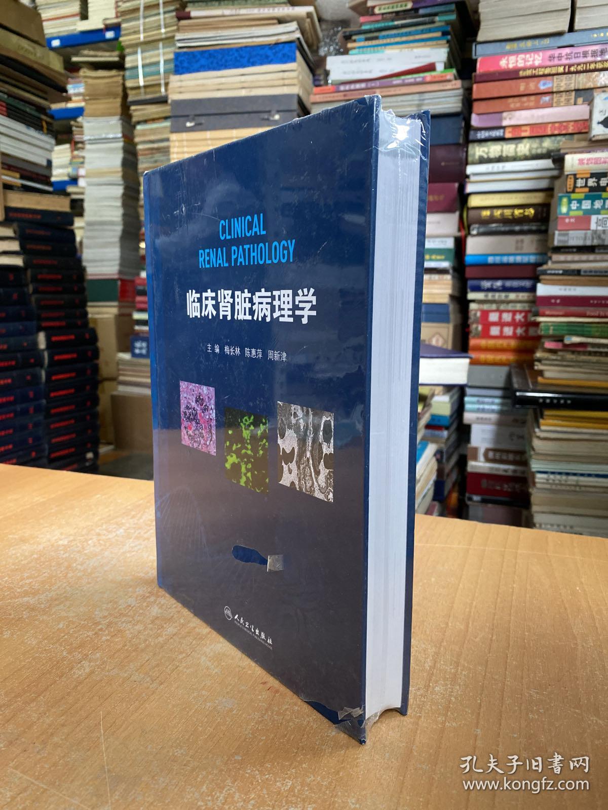 临床肾脏病理学（原塑封未拆开)大16开精装本.