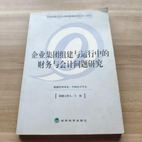 企业集团组建与运行中的财务与会计问题研究