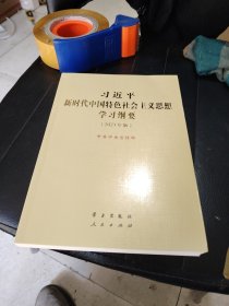 《习近平新时代中国特色社会主义思想学习纲要（2023年版）》大字本16开