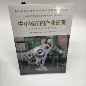 中小城市的产业逆袭/“区域和城市规划建设管理优秀案例”系列丛书