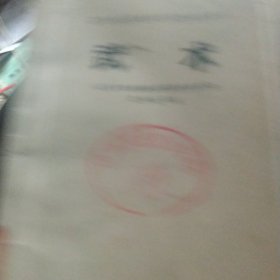 武术