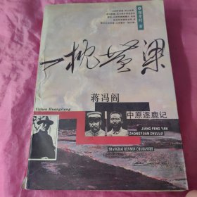 一枕黄粱:蒋冯阎中原逐鹿记