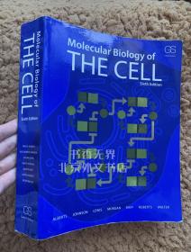 Molecular Biology of the Cell 英文原版 细胞的分子生物学 Bruce，Alberts