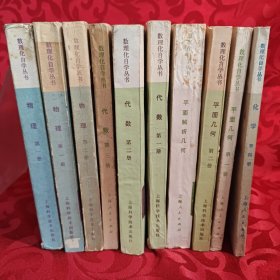 数理化自学丛书 10册合售（全17册，缺7册:物理第四册、三角、立体几何、化学第一二三册、代数第四册）
