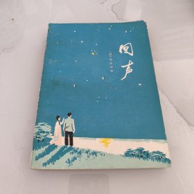中篇小说:《回声》