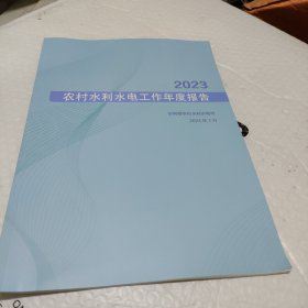 农村水利水电工作年度报告2023。