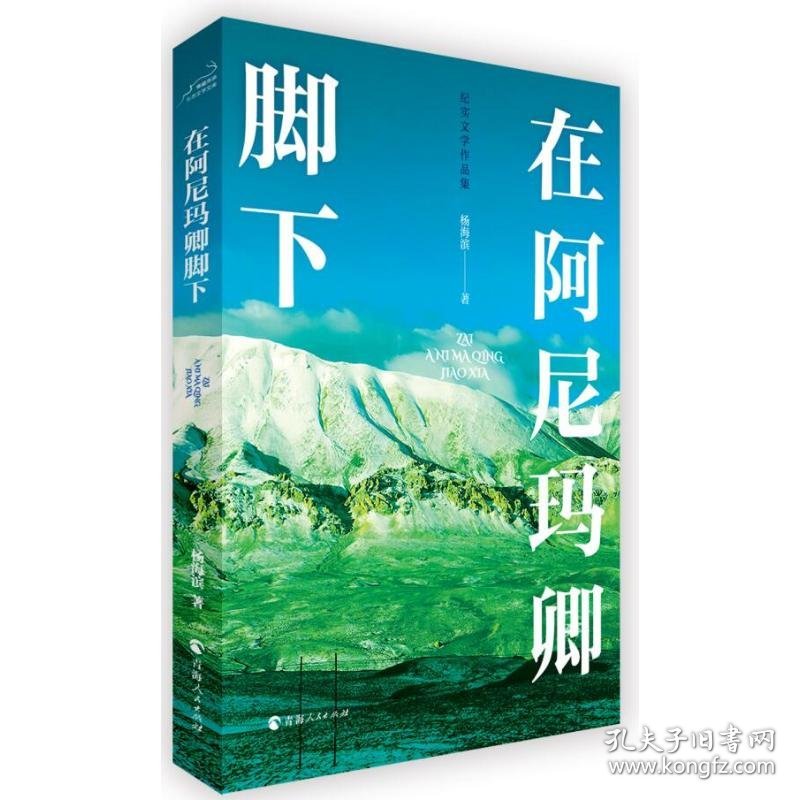 在阿尼玛卿脚下 9787225066653