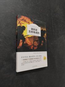 钢铁是怎样炼成的