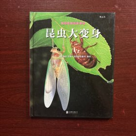 我们去找小昆虫4：昆虫大变身