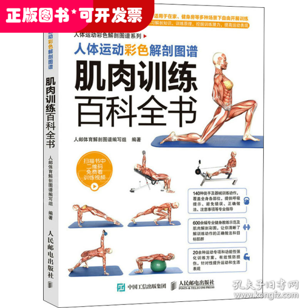 人体运动彩色解剖图谱 肌肉训练百科全书
