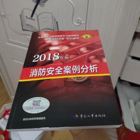 官方指定2018一级注册消防工程师资格考试辅导教材：消防安全案例分析