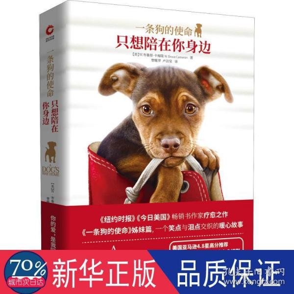 一条狗的使命：只想陪在你身边