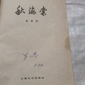 秋海棠