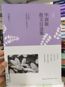 毕淑敏散文自选集(名家散文自选集)