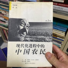 现代化进程中的中国农民
