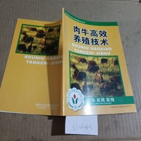 肉牛高效养殖技术