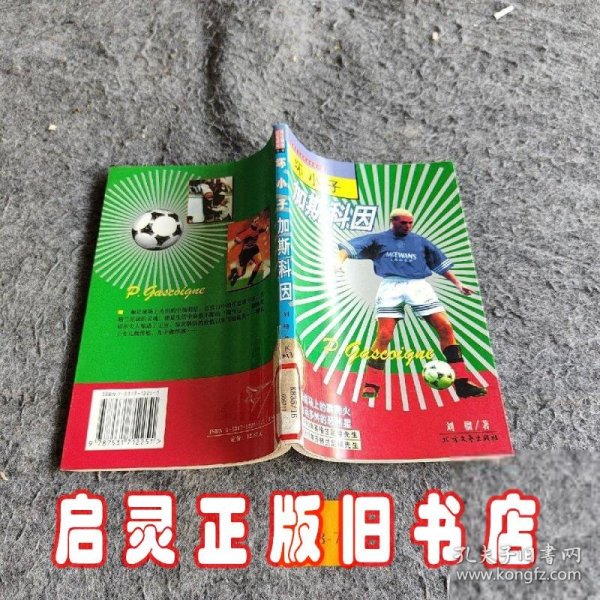 坏小子加斯科因