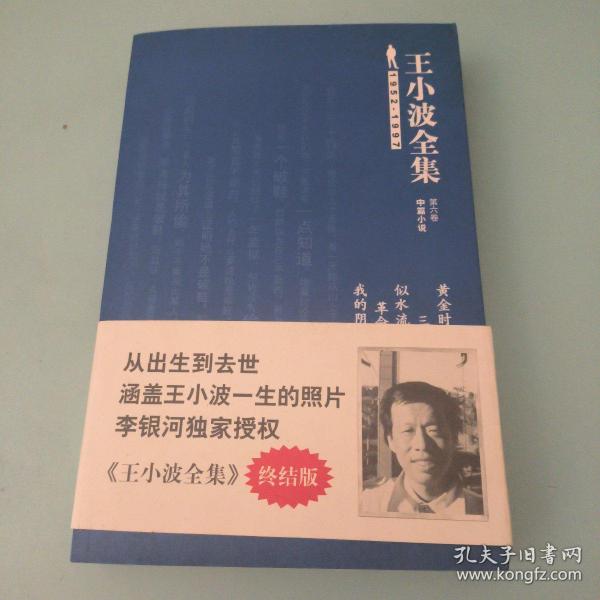 王小波全集（第六卷 中篇小说）：黄金时代 三十而立 似水流年 革命时期的爱情 我的阴阳两界