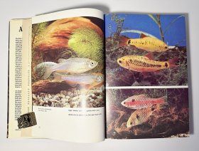 THE FRESHWATER AQUARIUM A practical handbook 淡水水族箱实用手册
