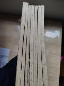 中华武术大观  6册（沙国政专辑，关永年专辑，李文彬尚芝蓉专辑，张业金专辑，张耀忠专辑，安天荣专辑）