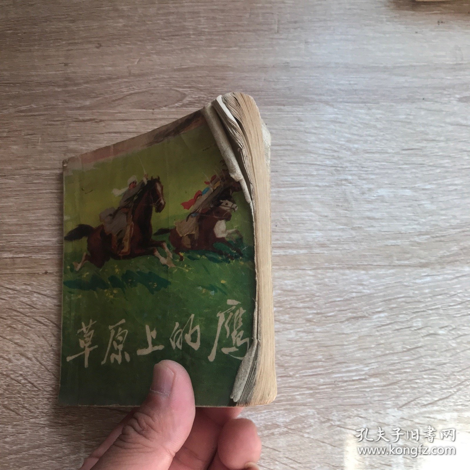 连环画 草原上的鹰