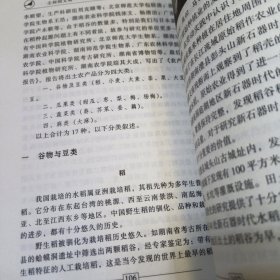 尘封的文明：神秘的马王堆汉墓