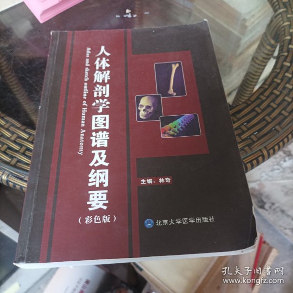 人体解剖学图谱及纲要