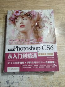 中文版Photoshop CS6从入门到精通（微课视频 全彩版）