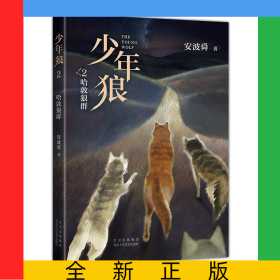 少年狼.2哈敦家族