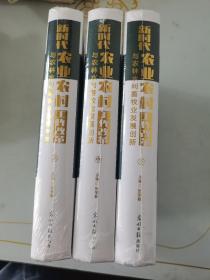 新时代农业农村工作改革与农林水利畜牧业发展创新（全三册）未拆封新时代农业农村工作改革与农林水利畜牧业发展创新（上中下）