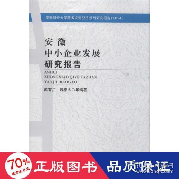 安徽中小企业发展研究报告