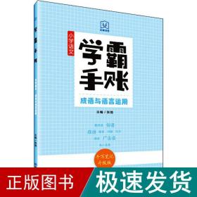 学霸手账小学语文成语与语言运用手写笔记升级版康奈尔笔记法全新马卡龙色