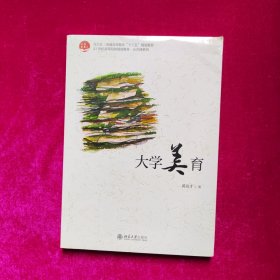 大学美育（未拆封）