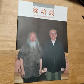 徐培晨教授艺术活动掠影暨作品荟萃