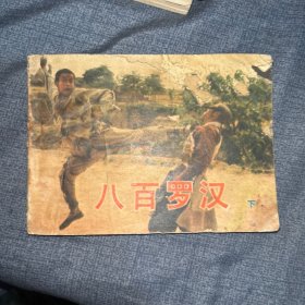 连环画:八百罗汉（上下）