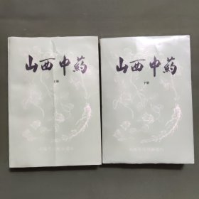 山西中药 上下