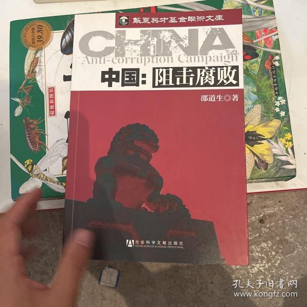 中国：阻击腐败