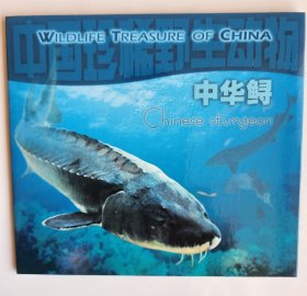 中华鲟特种纪念币一枚