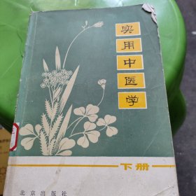 实用中医学：下 册