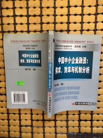 中国中小企业融资：供求、效率与机制分析