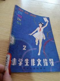 小学生作文指导2