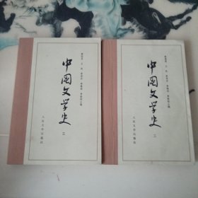 中国文学史（二三 ）