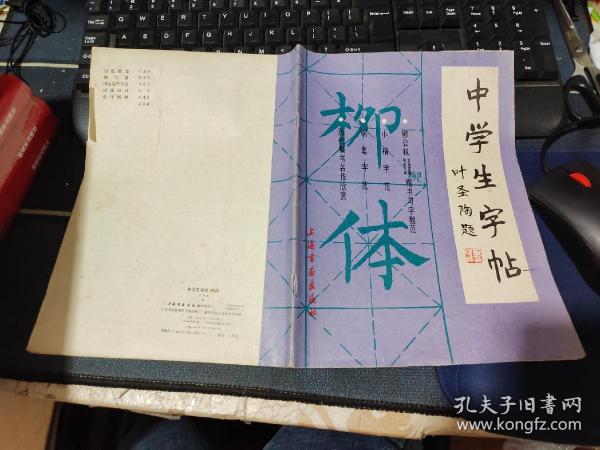 中学生字帖 柳体（柳公权玄秘塔碑神策军碑楷书习字教范）