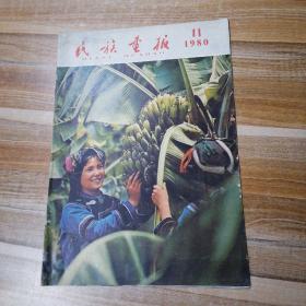 民族画报1980年