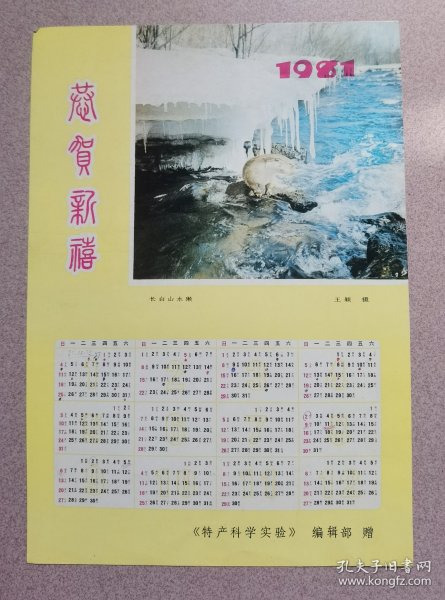 1981年恭贺新禧小年历画〈长白山水獭〉（王颖 摄）特产科学实验编辑部赠 16开