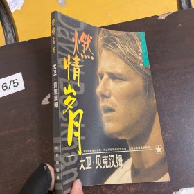 燃情岁月 大卫·贝克汉姆