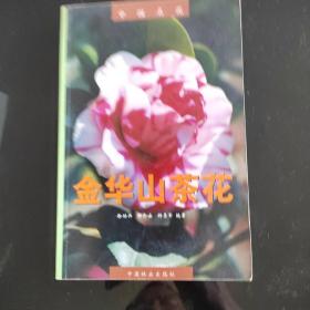 中国名花:金华山茶花