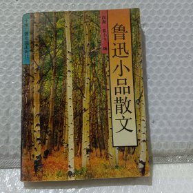 鲁迅小品散文