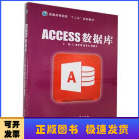 ACCESS数据库